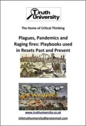 The Plagues, Pandemics and Raging Fires: Playbooks used in Resets Past and Present